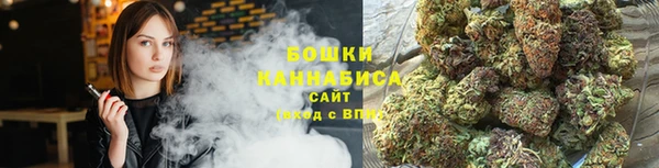 индика Осташков