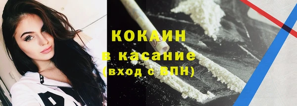 индика Осташков