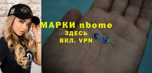 индика Осташков
