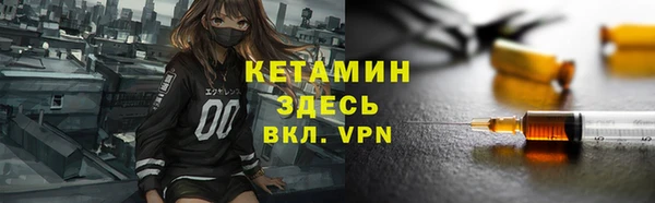 индика Осташков