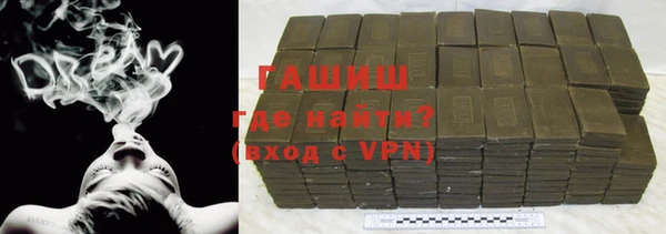 индика Осташков