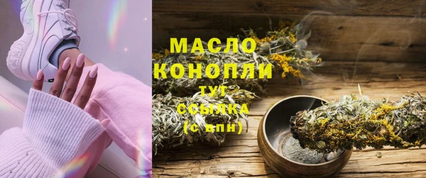 индика Осташков