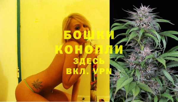 индика Осташков