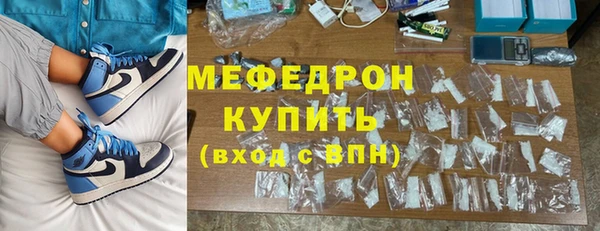 индика Осташков
