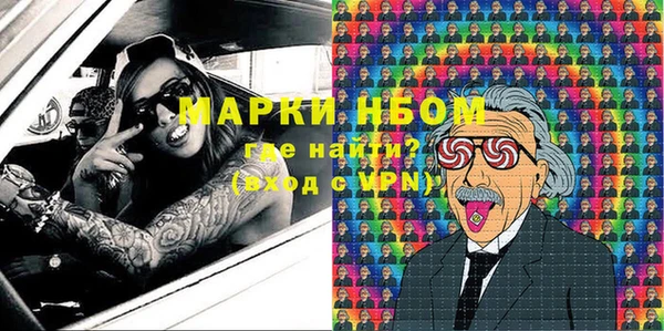 индика Осташков