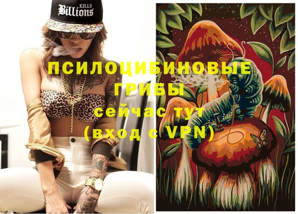 индика Осташков