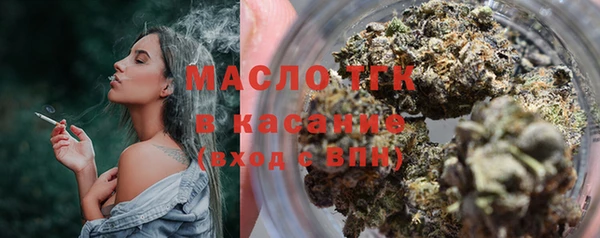 индика Осташков