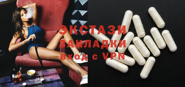 индика Осташков