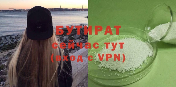 индика Осташков