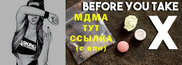 индика Осташков