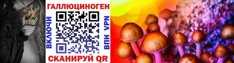 Псилоцибиновые грибы Psilocybine cubensis  Вилюйск 